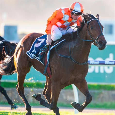 railway stakes results|Railway Stakes (Perth racing) .